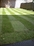Garden Maintenance -Turfing